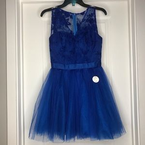 NEW Pretty vintage style blue lace tulle dress